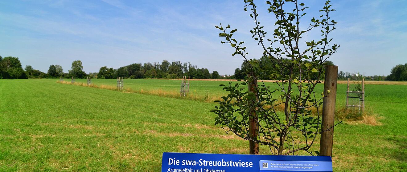 swa Streuobstwiese