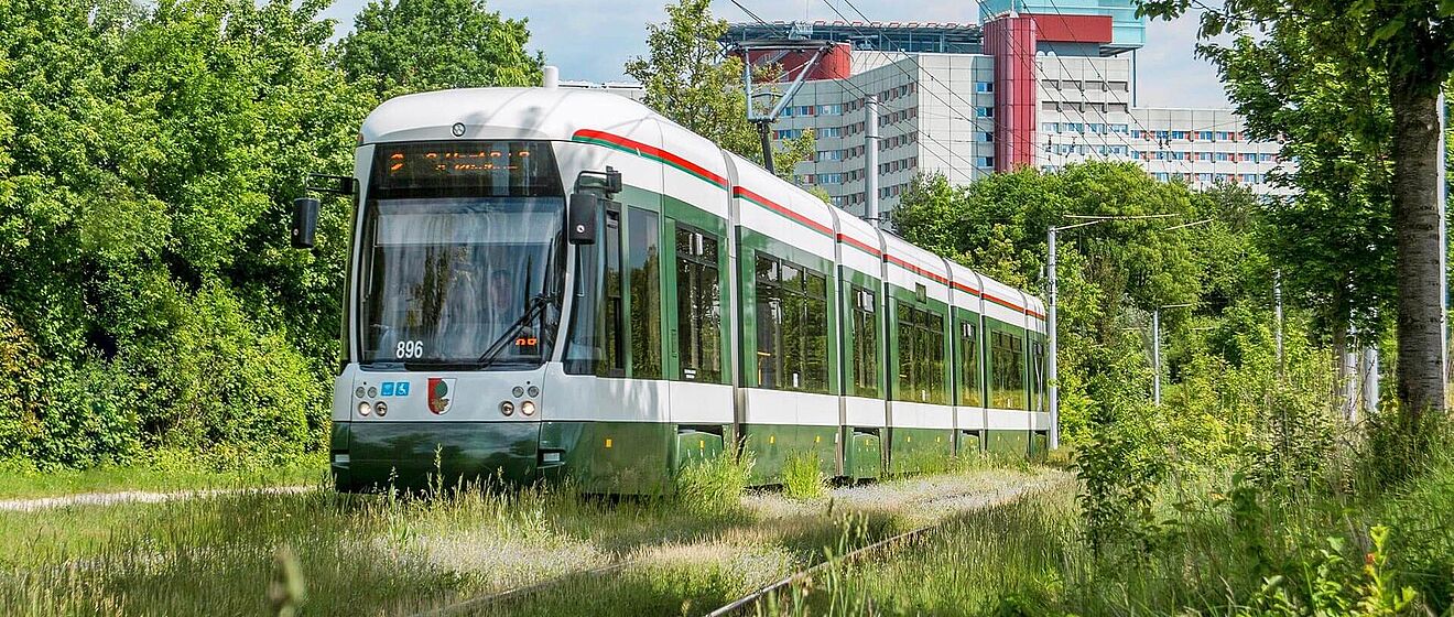Stadtwerke Augsburg Straßenbahn umgeben von Gebüsch