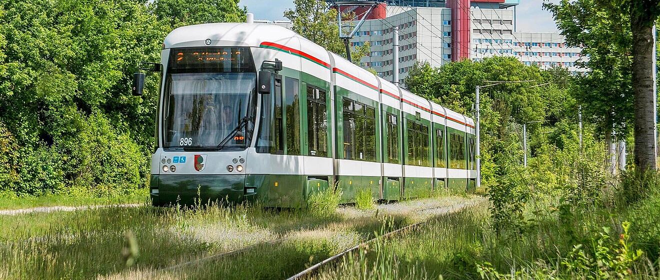 Stadtwerke Augsburg Straßenbahn umgeben von Gebüsch